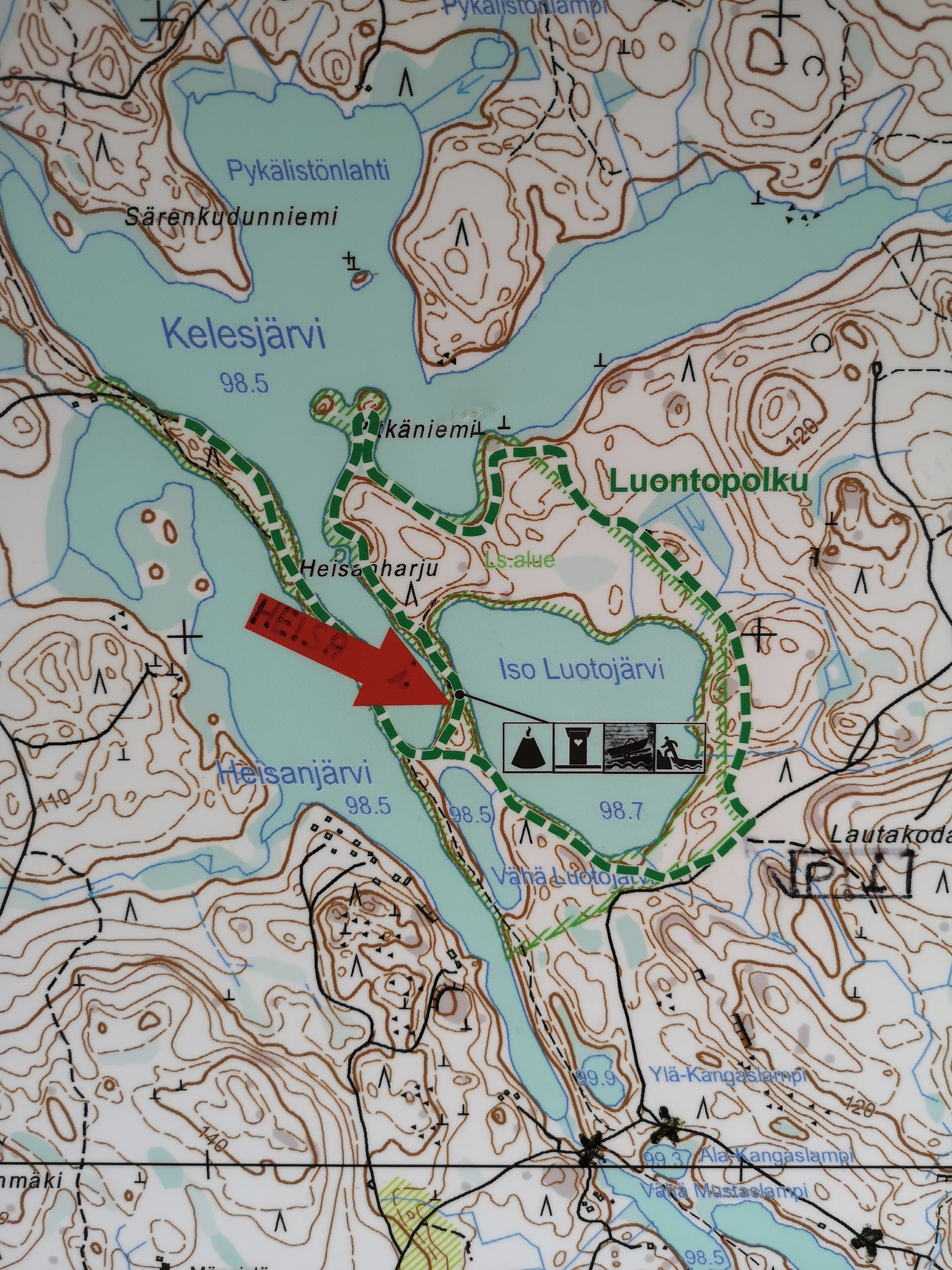 Heisanharju Ridge (Heisanharjun luonnonsuojelualue)